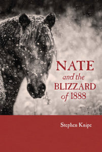 Nate and the Blizzard